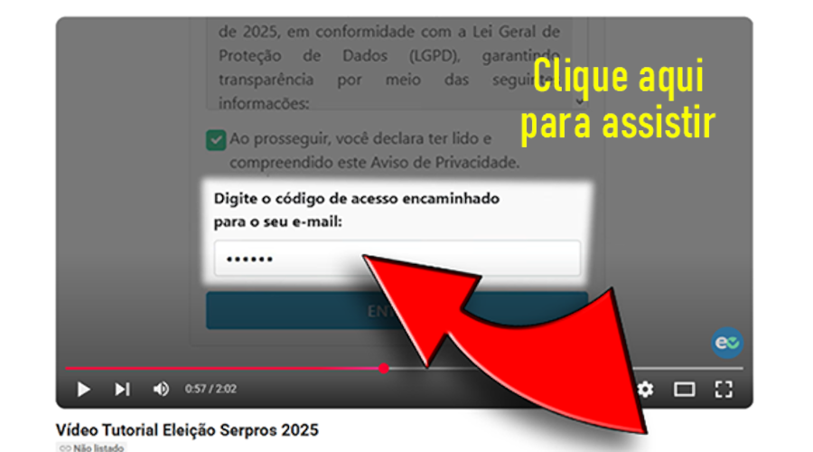Veja aqui o passo a passo e vote nas eleições do SERPROS