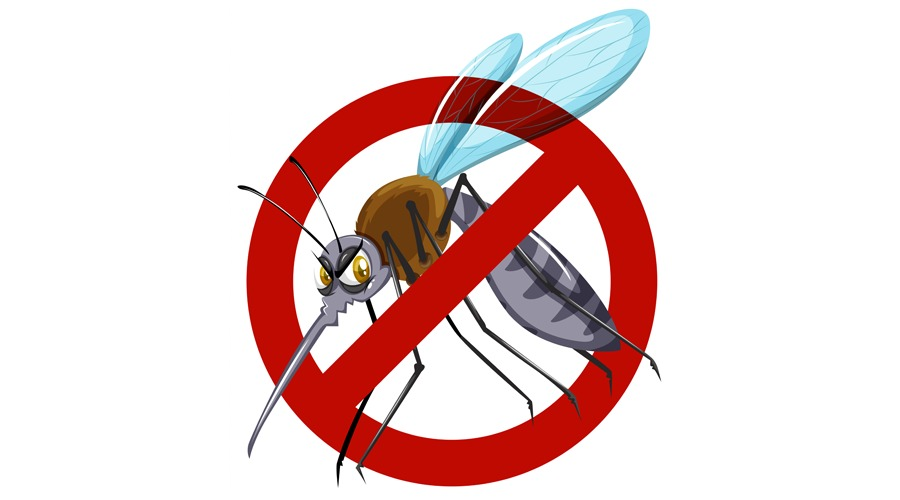 Brasil registra forte queda nos casos de dengue em 2026